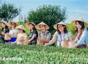 机遇中国多彩贵州｜干了这杯新茶饮！中国茶新表达“圈粉”海外青年