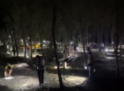 提桶抓熬夜抓有人一晚上抓几百只！“知了猴”为啥这么抢手？